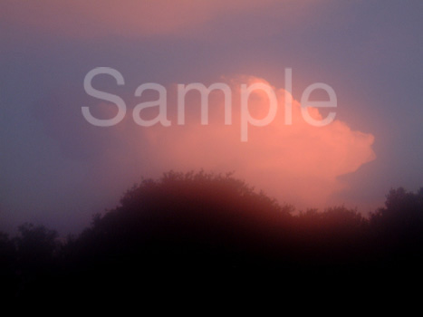 sunset03.jpg