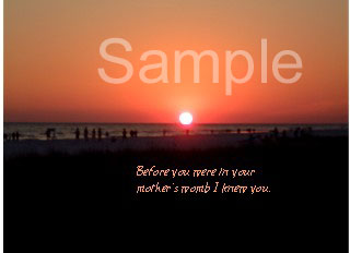 sunset07.jpg