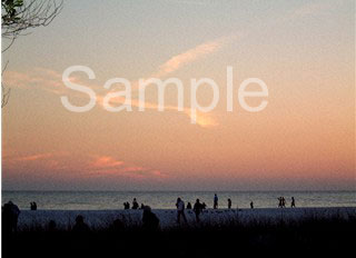 sunset08.jpg