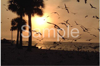 sunset11.jpg