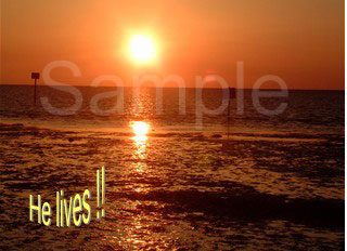 sunset12.jpg