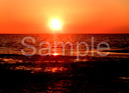 sunset13.jpg