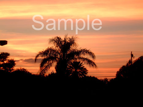 sunset19.jpg
