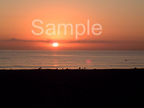 sunset20.jpg