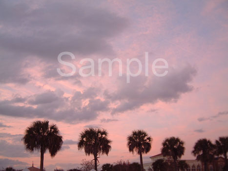 sunset21.jpg