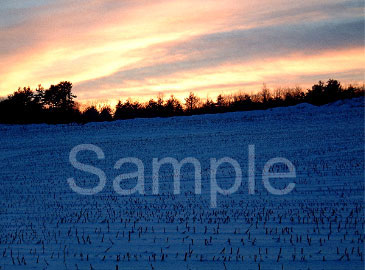 sunset22.jpg