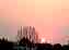 sunset04