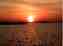 sunset06