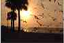sunset11