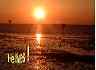sunset12