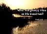 sunset28