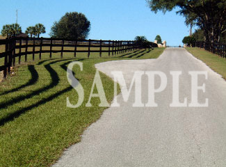 Country02.jpg