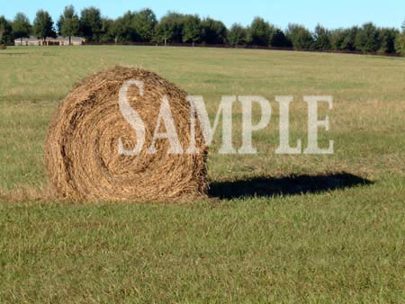 Country04.jpg