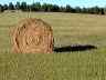 country04