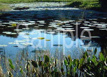 water03.jpg