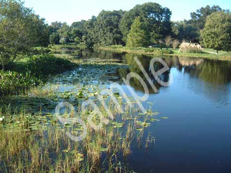water04.jpg