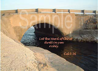 water06.jpg