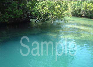 water07.jpg