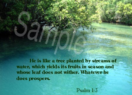 water12.jpg