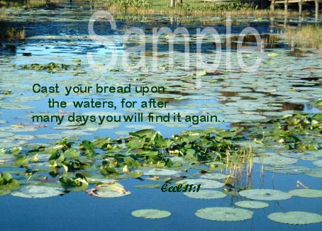 water14.jpg