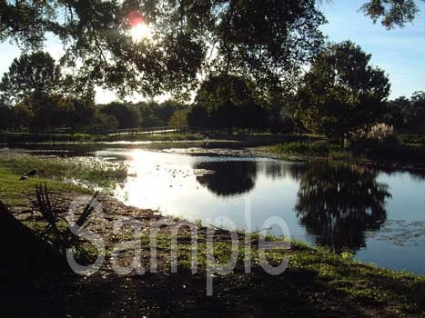 water17.jpg
