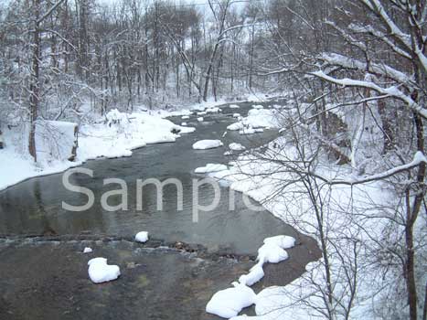 winter02.jpg