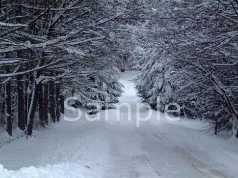 winter03.jpg