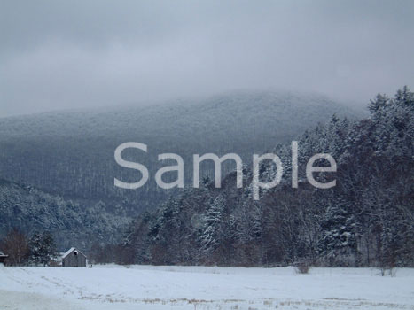 winter04.jpg