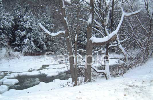 winter06.jpg