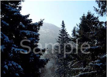 winter07.jpg