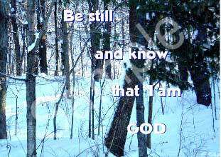 winter08.jpg