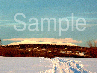 winter09.jpg