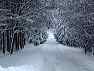 winter03