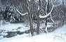 winter06