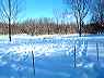 winter11