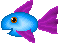 teddyfish