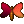 right butterfly