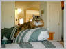 Cats-Ashley.jpg 52Kb