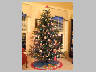 House-Xmastree.jpg 70Kb