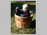 Leah-basketcase.jpg 80Kb