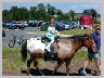 Rachel-horse.jpg 80Kb
