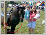 Sandy-girls-horse.jpg 84Kb