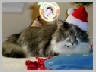 Smokey-Santa.jpg 47Kb