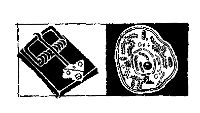 celltrap.gif (4382 bytes)