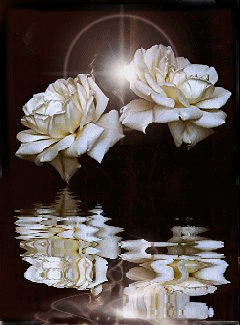 pretty aren't they.....
