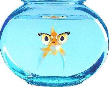 It's a fishy!!