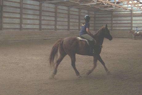riding in the indoor arena
