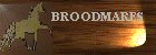 Meet our Broodmares ~ Click Here ~