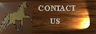 Contact Us ~ Click Here ~