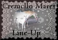 Click here to see Line-Up of Cremello Mares